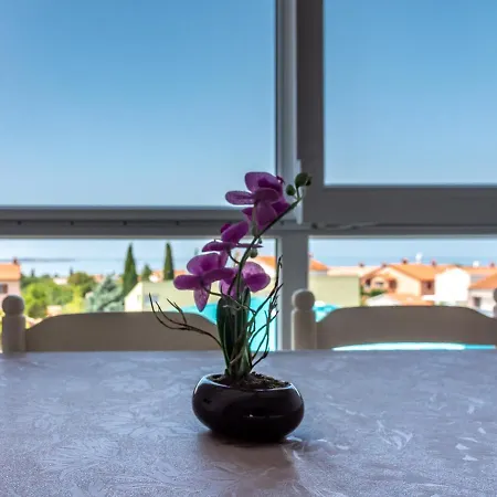 Apartman Berat Vodnjan