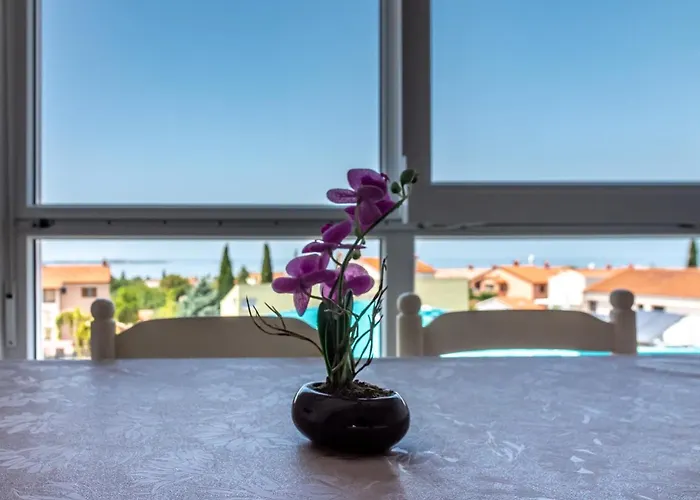 Apartman Berat Vodnjan